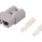 Conector cablu-cablu mufă SB&reg; 120 hermafrodit PIN: 2 Anderson Power Products