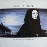 Vinil LP Dead Or Alive &lrm;&ndash; Mad, Bad And Dangerous To Know (VG+)