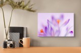 Tablou Canvas Abstract Floral Multicolor pentru Decorarea Interiorului, 39 x 26 cm, CMCLASS