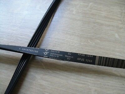 Curea msina de spalat hutchinson Poly V 4PJE1244