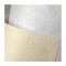 Carton special texturat A4 diamant pentru laser 220g - Alb, Floral