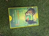 Punci cu porunci - Michael Ende