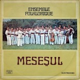 Ensemble Folklorique Mesesul