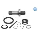 Meyle Arbore, diferential Meyle-Original: True to OE.