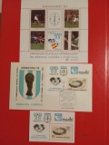 ARGENTINA, FOTBAL - BLOCURI + SERII MNH (2 FOTO)