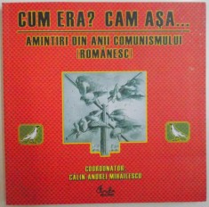 CUM ERA, CAM ASA, AMINTIRI DIN ANII COMUNISMULUI ROMANESC de CALIN - ANDREI MIHAILESCU, ILUSTRATII de STEFAN ANASTASIU, 2006 foto