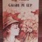 myh 420s - Pop Simion - Calare pe lup - ed 1990