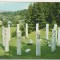 bnk cp Moisei - Monumentul Eroilor - uzata - marca fixa