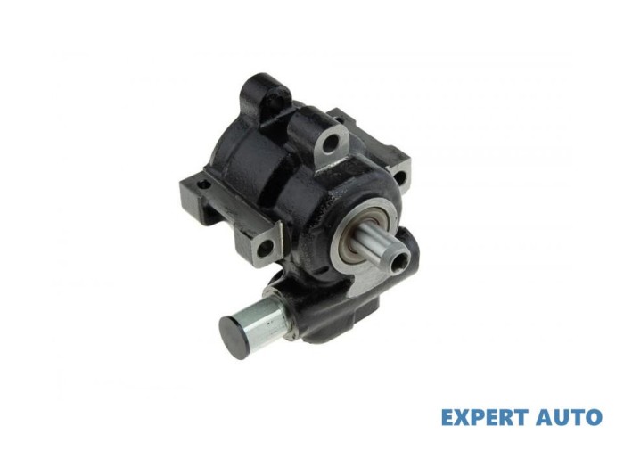 Pompa servodirectie Dodge RAM 1500 (2001-2008) [D1, DC, DH, DM, DR] #1