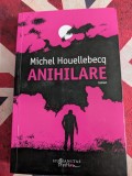 Anihilare, Michel Houellebecq