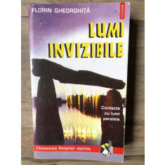 Florin Gheorghita - Lumi invizibile