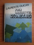 Laurențiu Duican - Prin labirintul geometriei
