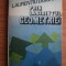 Laurențiu Duican - Prin labirintul geometriei