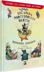 Escapada porcusorului Bertie - Kenneth Grahame, Neverland