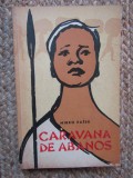 MIRKO PASEK - CARAVANA DE ABANOS