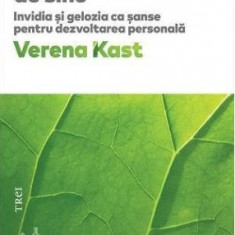 Depasirea de sine Invidia si gelozia ca sanse pentru dezvoltarea personala