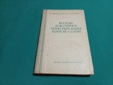 REGULILE AGROTEHNICE PENTRU PRINCIPALELE PLANTE DE CULTURĂ /1955 * 700