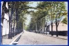 Lacul Sarat 1924 - printata, color, circulata la Iasi, 2 timbre intacte, stampile lizibile, Braila, Necirculata, Fotografie