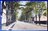 Lacul Sarat 1924 - printata, color, circulata la Iasi, 2 timbre intacte, stampile lizibile, Braila, Necirculata, Fotografie
