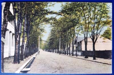 Lacul Sarat 1924 - printata, color, circulata la Iasi, 2 timbre intacte, stampile lizibile foto