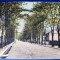 Lacul Sarat 1924 - printata, color, circulata la Iasi, 2 timbre intacte, stampile lizibile