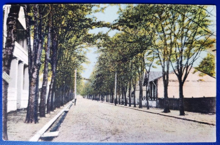 Lacul Sarat 1924 - printata, color, circulata la Iasi, 2 timbre intacte, stampile lizibile