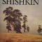 Alexei Savinov - Shishkin