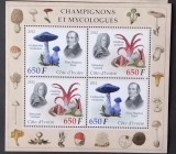 Ciuperci - Coasta de Fildeș 2012 - Coliță Set Complet 4 Timbre Champignons et Mycologues CP1_II