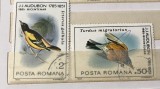 Cumpara ieftin (3) Timbre Serii Romania Fauna Pasari