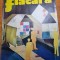 revista flacara 12 ianuarie 1974-art. &quot;timisoara imaginii&quot; si art. negresti oas