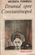 Drumul spre Constantinopol foto