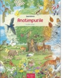 Descopera anotimpurile - Larisa Lauber