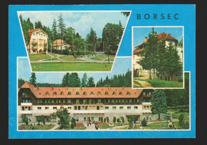 CPIB 17957 CARTE POSTALA - BORSEC, MOZAIC