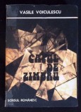 CAPUL DE ZIMBRU - Vasile Voiculescu, Roman, Editura Scrisul Romanesc, 1988, 373 pagini, Coperta Necartonata