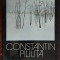 ALBUM MARE: CONSTANTIN PILIUTA (CONSTANTIN PRUT, 1983) [pref. FANUS NEAGU]