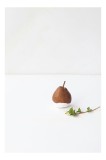 Fructe naturale de persimmon decorativ cu frunze, 26 x 39 cm, CMCLASS