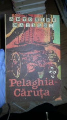 Pelaghia-caruta &amp;amp;#8211; Antonine Maillet foto