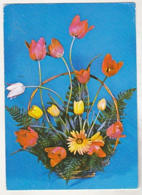 bnk cp Felicitare - Flori - circulata - marca fixa - cod 0205/79 foto