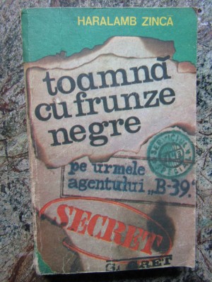 Haralamb Zinca - Toamna cu frunze negre foto