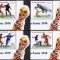COREEA DE NORD 2018 FOTBAL CUPA MONDIALA DIN RUSIA