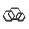 icon 2
