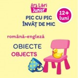 Pic cu pic invat de mic: Obiecte / Objects (Editie bilingva romana-engleza)