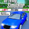 Driving Simulator 2013 PC