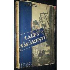 Ion PELTZ