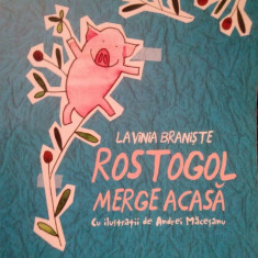 Lavinia Braniste - Rostogol merge acasa (editia 2016)