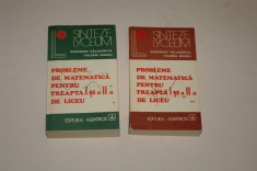Probleme de matematica pentru treapta I si a II a de liceu - Calugarita - Mangu - 2 vol.