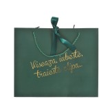 Punga de cadou verde cu mesaj 33 x 40 cm