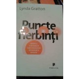 Lynda Gratton - Puncte fierbinti (Editia: 2010)
