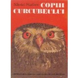 Copiii curcubeului
