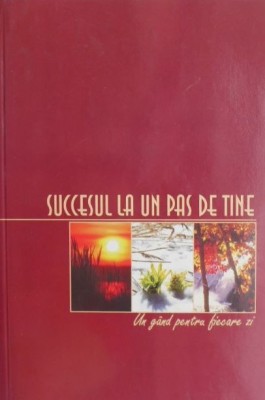 Succesul la un pas de tine - Ion Buciuman foto